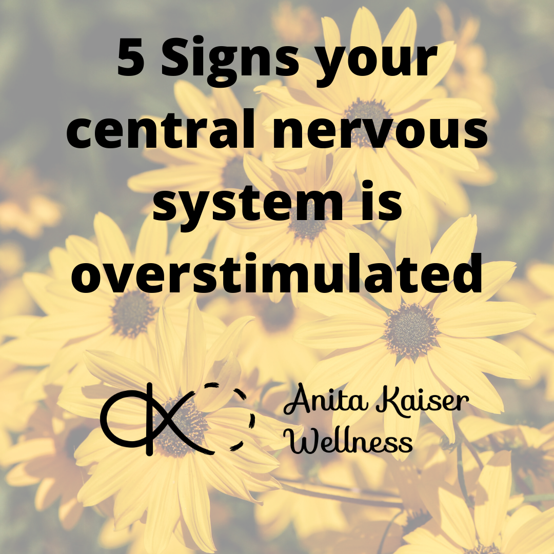 central nervous system needs boundaries