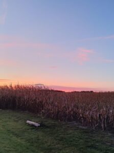 sunrise on a long term house sit